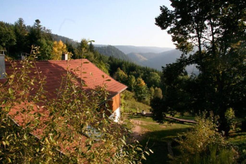Appartement Dans Vielle Ferme Au Coeur Des Vosges Plainfaing Εξωτερικό φωτογραφία