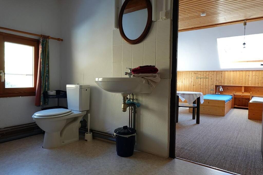 Appartement Dans Vielle Ferme Au Coeur Des Vosges Plainfaing Εξωτερικό φωτογραφία