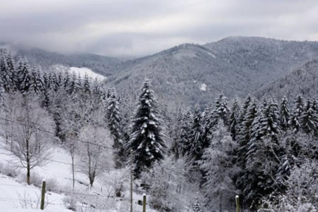 Appartement Dans Vielle Ferme Au Coeur Des Vosges Plainfaing Εξωτερικό φωτογραφία