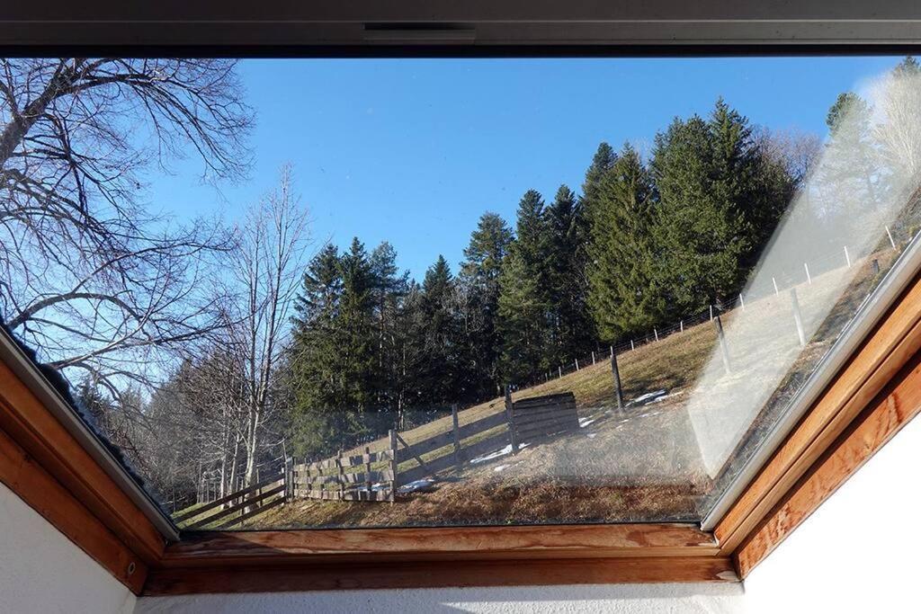 Appartement Dans Vielle Ferme Au Coeur Des Vosges Plainfaing Εξωτερικό φωτογραφία