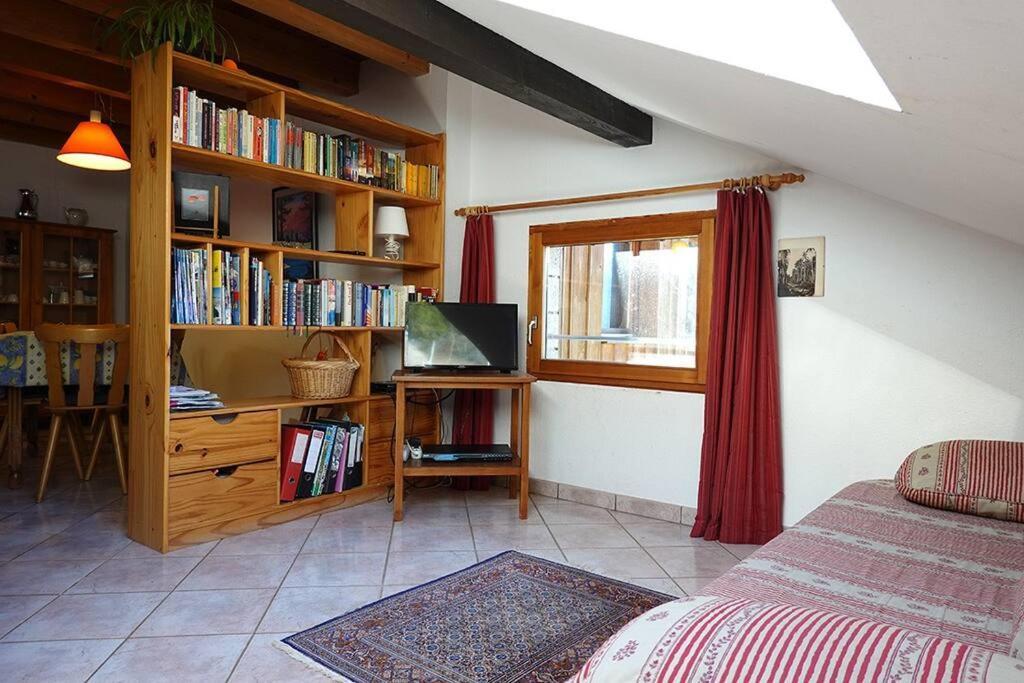 Appartement Dans Vielle Ferme Au Coeur Des Vosges Plainfaing Εξωτερικό φωτογραφία