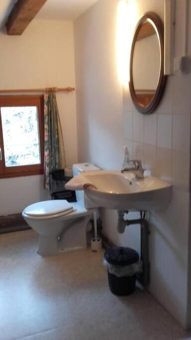 Appartement Dans Vielle Ferme Au Coeur Des Vosges Plainfaing Εξωτερικό φωτογραφία
