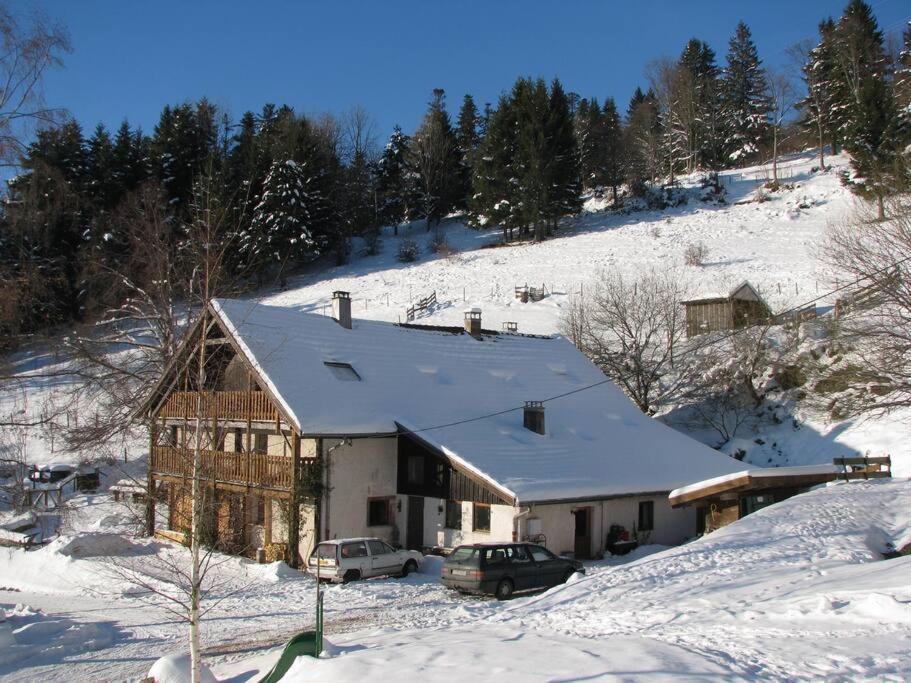Appartement Dans Vielle Ferme Au Coeur Des Vosges Plainfaing Εξωτερικό φωτογραφία