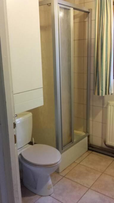 Appartement Dans Vielle Ferme Au Coeur Des Vosges Plainfaing Εξωτερικό φωτογραφία